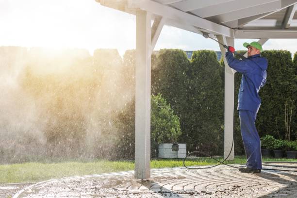 Best Roof Washing  in Lake View, AL